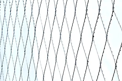 Плоское колющее ленточное заграждение ПКЛЗ АСКЛ ячейка 330х150 (2х10м)