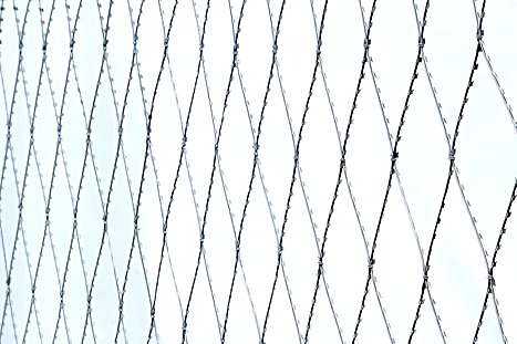 Плоское колющее ленточное заграждение ПКЛЗ АСКЛ ячейка 330х150 (2х10м)